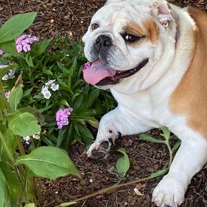 Meet your Posher, Denise